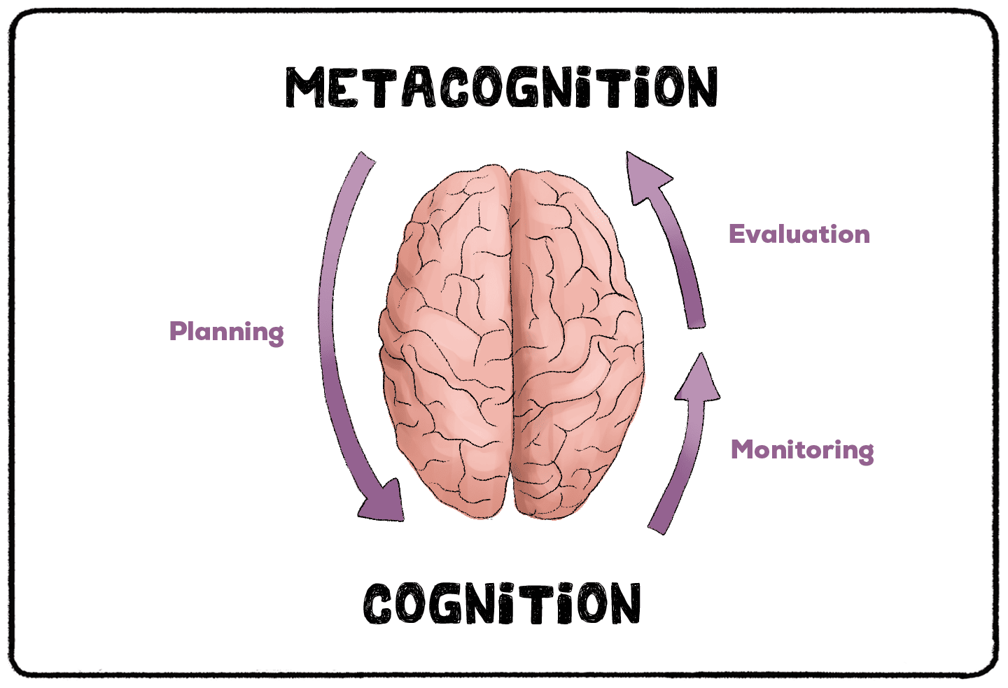 metacognition and cognition