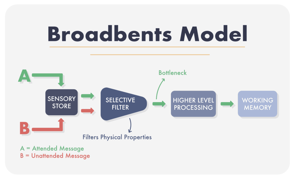 Broadbents Filter Model of Attention