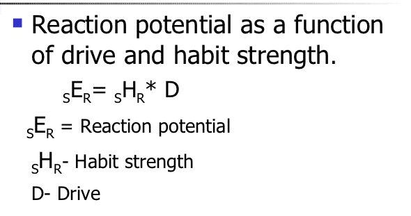 Drive Reduction Theory Formula