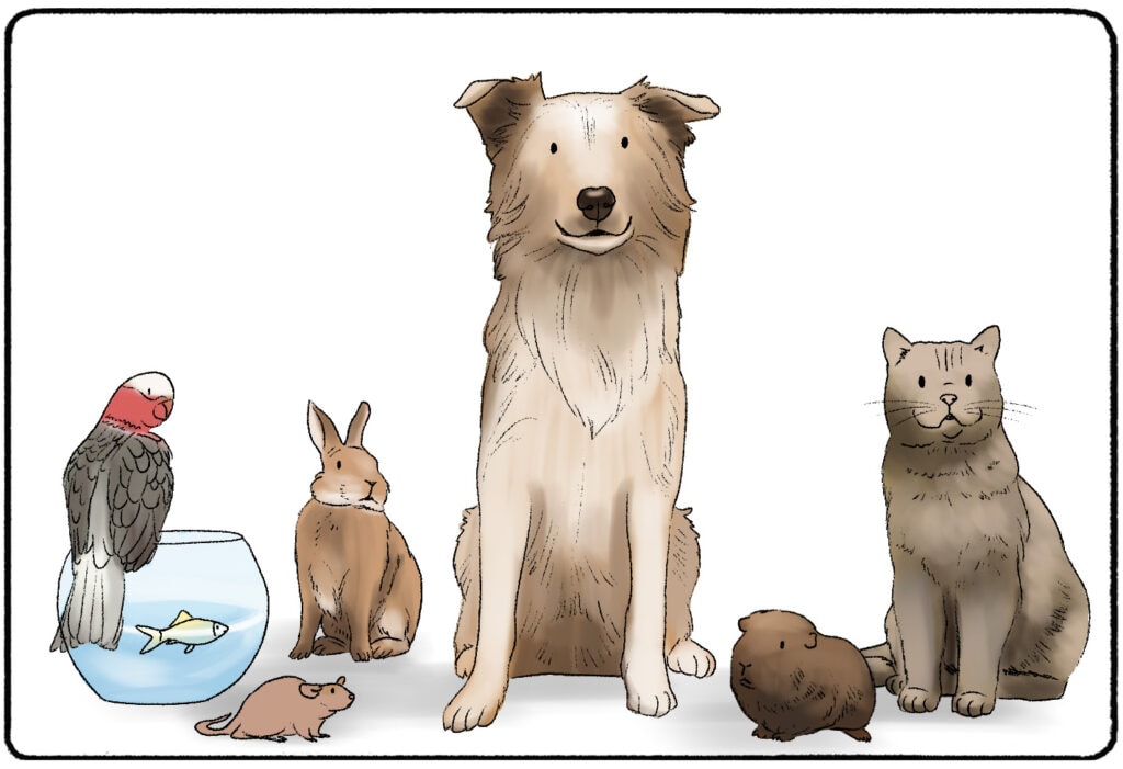 seven different pets: bird, fish, rat, rabbit, dog, guinea pig, and cat